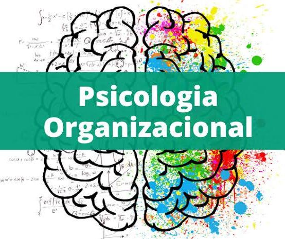 Psicologia (Opção: Organizacional ou Escolar)